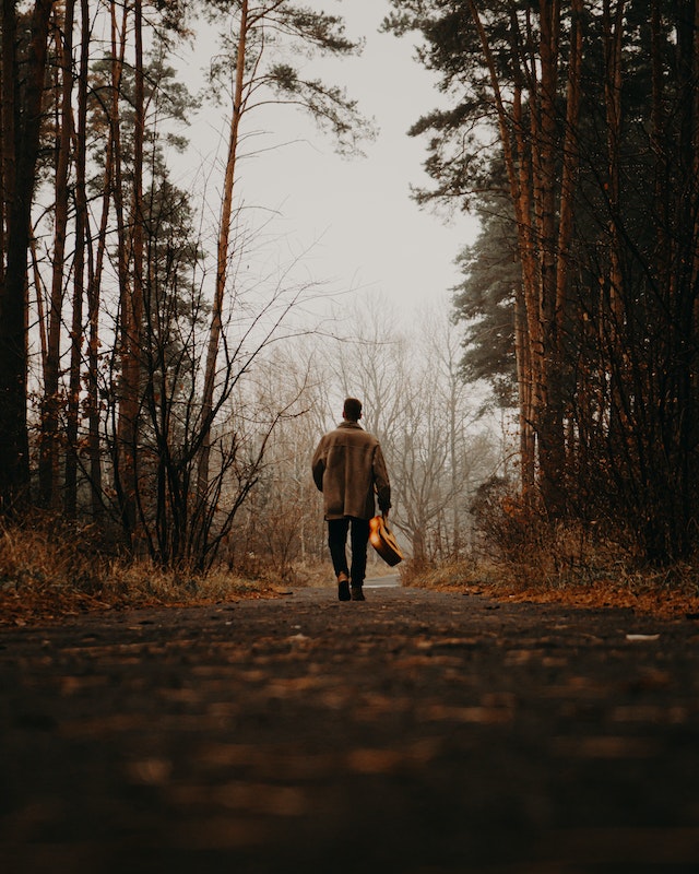 Kit walking in a forest